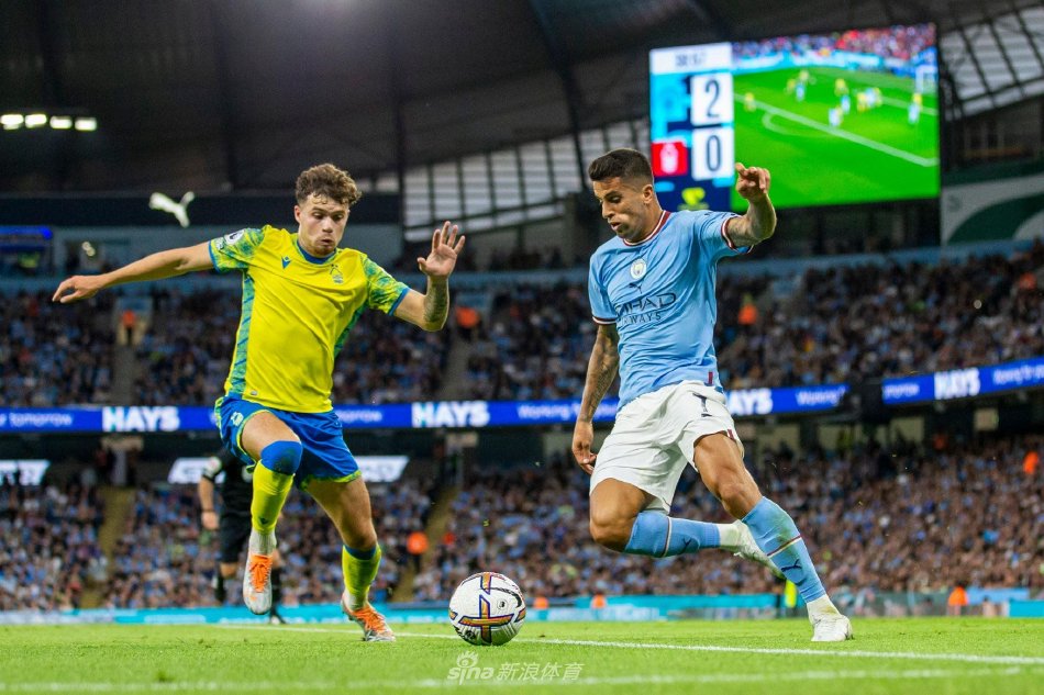 大升级以及 大升级以及