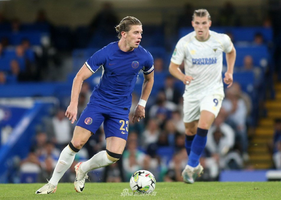 可能于今年 可能于今年